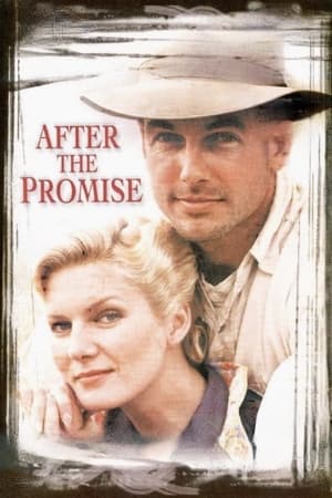 Poster After the Promise 1987