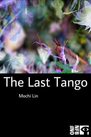 The Last Tango 2024