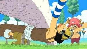 One Piece Season 10 Episode 348