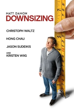 Image Downsizing