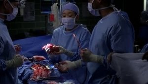 Grey’s Anatomy Season 7 Episode 2