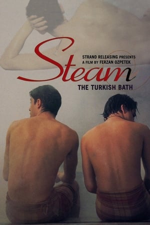 Image Steam: The Turkish Bath