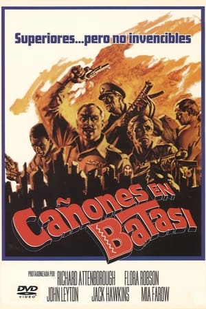 Image Cañones en Batasi