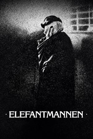 Elefantmannen 1980