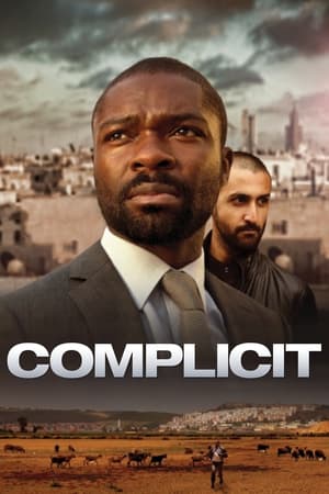 Poster Complicit 2013