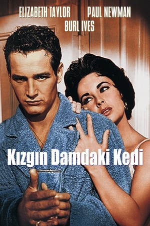 Poster Kızgın Damdaki Kedi 1958