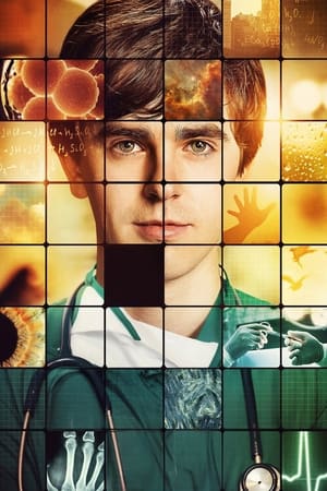 The Good Doctor Staffel 7 2024