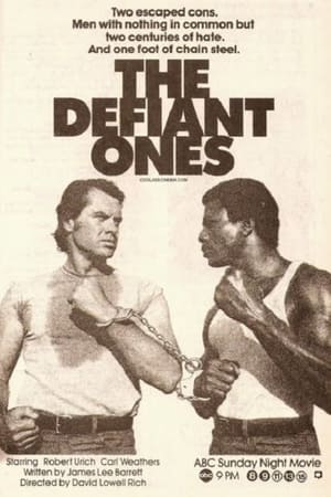 The Defiant Ones 1986