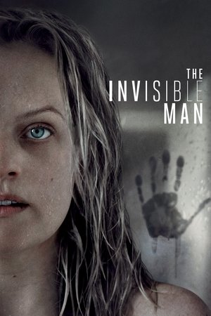 The Invisible Man 2020 Hindi Dual Audio