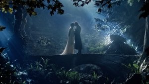Images posters