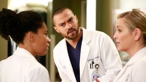 Grey's Anatomy Season 13 :Episode 12  None of Your Business