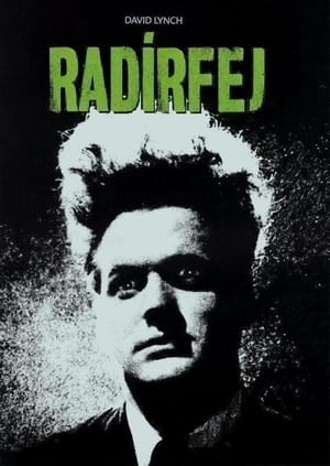 Poster Radírfej 1978