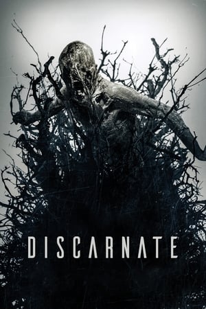 Poster Discarnate 2019