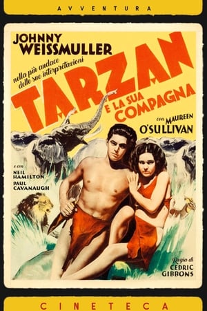 Tarzan e la compagna 1934