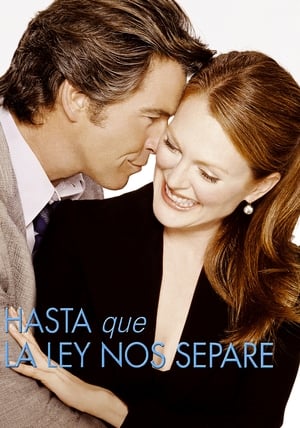 Poster Hasta que la ley nos separe 2004