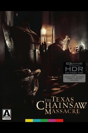 The Lost Leatherface (2025)