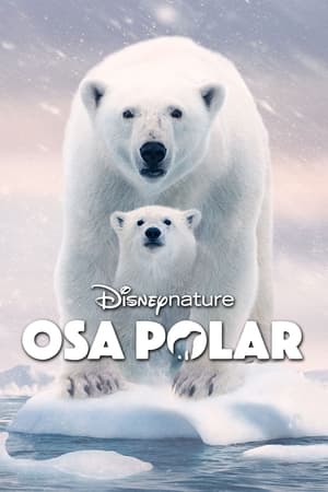 Poster Osa Polar 2022