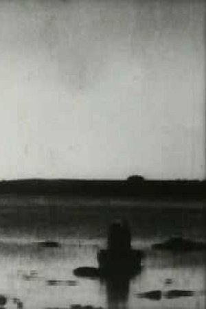 Exploding a Whitehead Torpedo (1900)