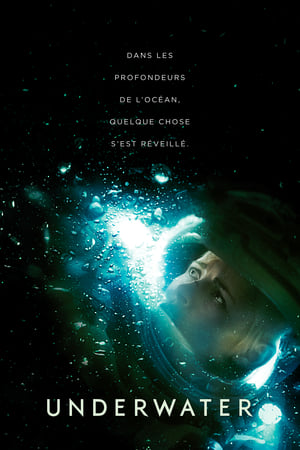 Poster Underwater 2020