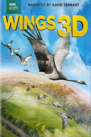 Poster Wings 3D 2014