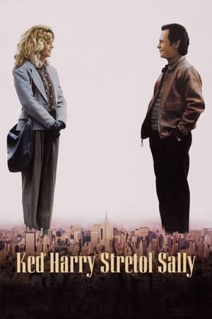 Poster Keď Harry stretol Sally 1989