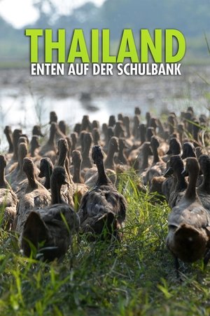 Thailand - Enten auf der Schulbank 2019