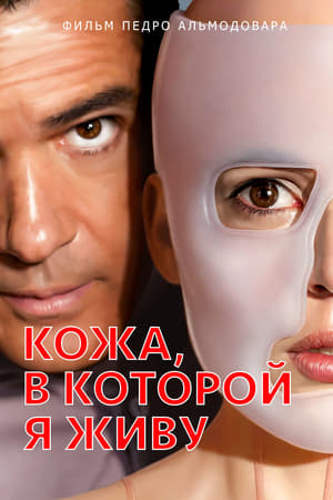 Poster Кожа, в которой я живу 2011