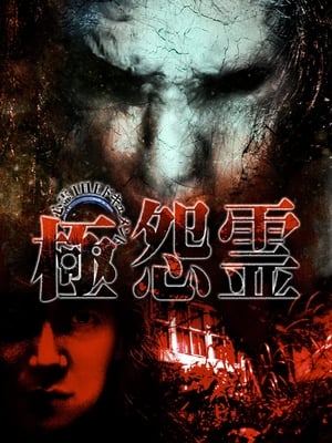 Télécharger 心霊THEドキュメント 極怨霊 ou regarder en streaming Torrent magnet 