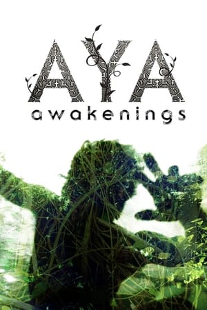 Aya: Awakenings (2013)