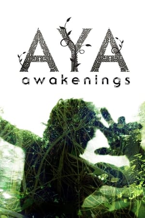 Poster Aya: Awakenings 2013