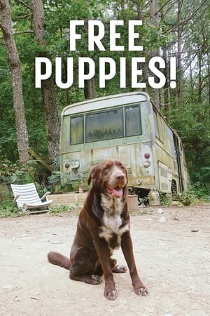 Image Free Puppies!