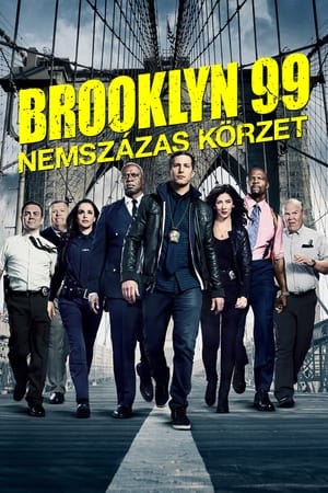 Poster Brooklyn 99 - Nemszázas körzet 2013