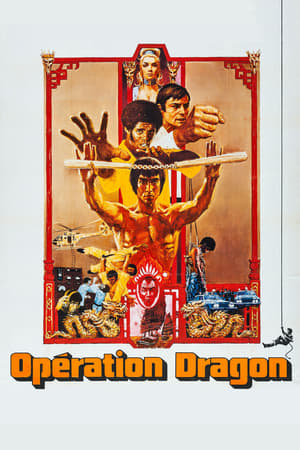 Image Opération Dragon