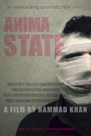 Poster Anima State 2013