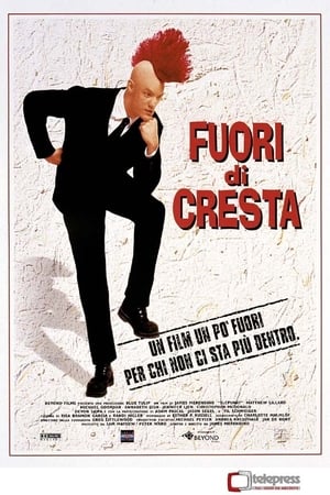 Poster Fuori di cresta 1998