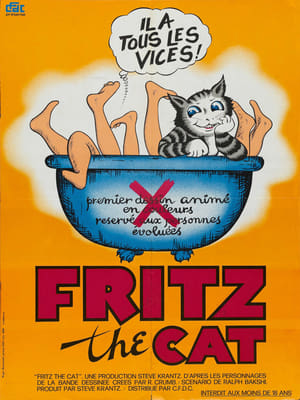 Image Fritz le chat