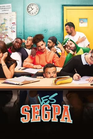 Image Les SEGPA