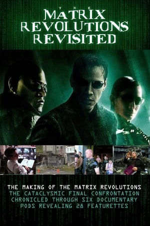 The Matrix Revolutions Revisited 2004