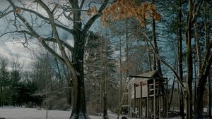 Treehouse (2025)
