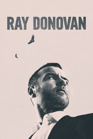 Poster Ray Donovan, la película 2022