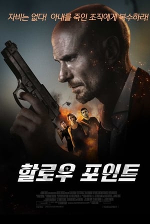 Image 할로우 포인트