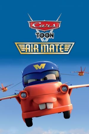 Poster Los Cuentos De Mate: Air Mate 2011
