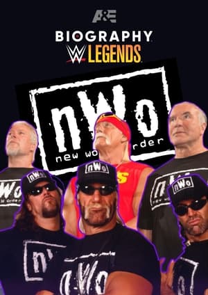 Image Biography: nWo