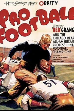Pro Football 1934