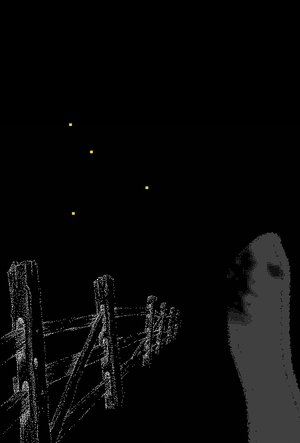 Fireflies Along the Fence (2025)