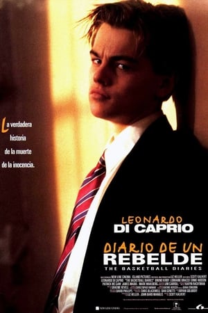 Poster Diario de un rebelde 1995