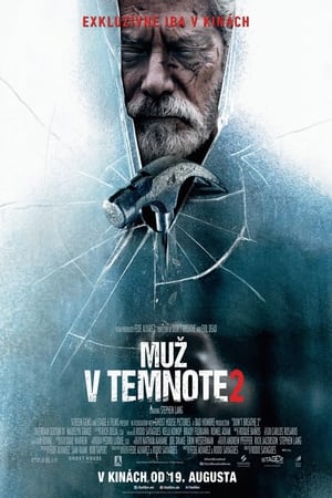 Poster Muž v temnote 2 2021