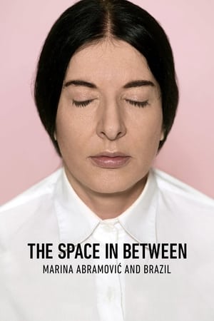 Image The Space in Between: Marina Abramović and Brazil