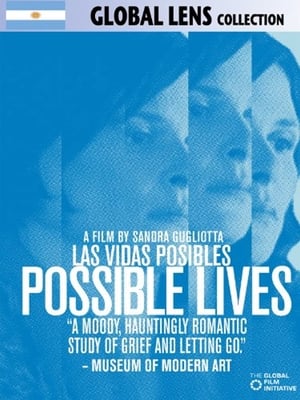 Poster Possible Lives 2008
