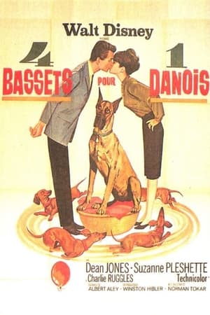 4 bassets pour un danois 1966